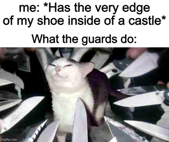 Bruh .-. | me: *Has the very edge of my shoe inside of a castle*; What the guards do: | image tagged in cat with knifes pointing at it | made w/ Imgflip meme maker