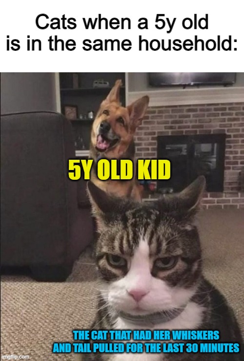 Forgive me cats, that was me in the past ;-; | Cats when a 5y old is in the same household:; 5Y OLD KID; THE CAT THAT HAD HER WHISKERS AND TAIL PULLED FOR THE LAST 30 MINUTES | image tagged in happy dog and annoyed cat | made w/ Imgflip meme maker