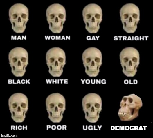 idiot skull | DEMOCRAT | image tagged in idiot skull | made w/ Imgflip meme maker