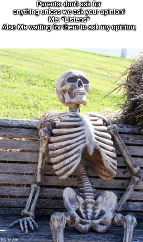 Waiting Skeleton | Parents: don't ask for anything unless we ask your opinion!
Me: *Listens*
Also Me waiting for them to ask my opinion; | image tagged in memes,waiting skeleton | made w/ Imgflip meme maker