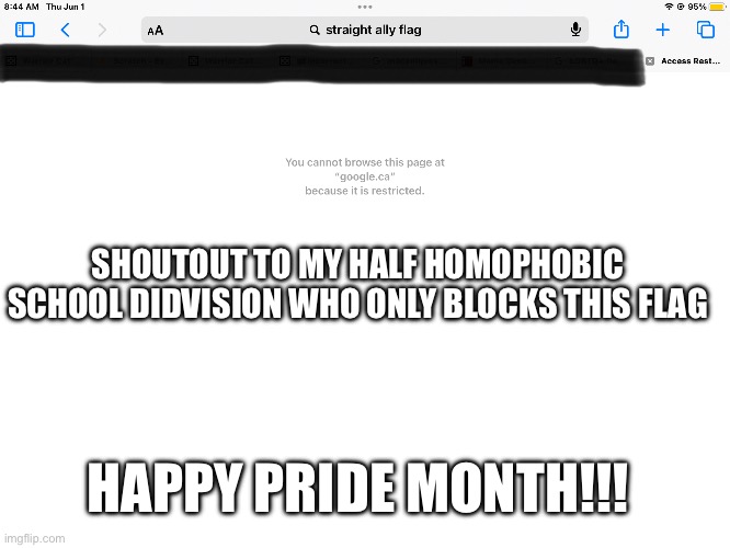 SHOUTOUT TO MY HALF HOMOPHOBIC SCHOOL DIDVISION WHO ONLY BLOCKS THIS FLAG; HAPPY PRIDE MONTH!!! | made w/ Imgflip meme maker