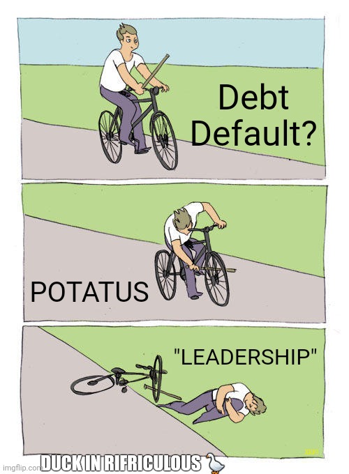 How to FIX A Debt Ceiling? Kick the Can  HYPERINFLATION? Some say POTUS. I Say #POTATUS ;) | Debt Default? POTATUS; "LEADERSHIP"; XRP? DUCK IN RIFRICULOUS 🪿 | image tagged in bike fall,joe biden,national debt,dollar tree,mr potato head,the great awakening | made w/ Imgflip meme maker