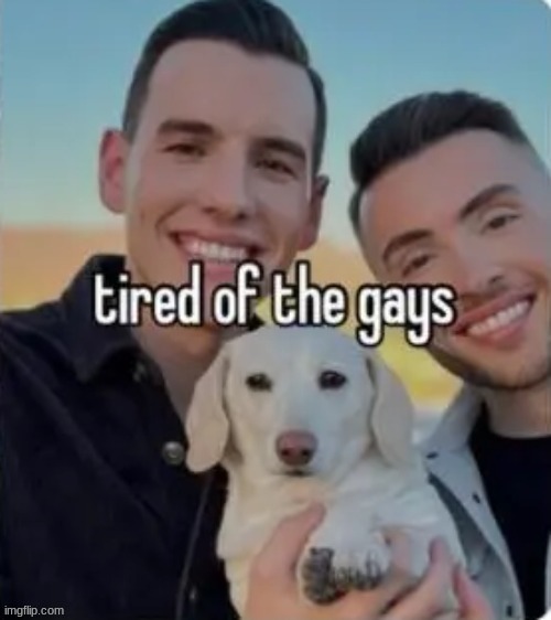 sorry mods but its june 1 | made w/ Imgflip meme maker