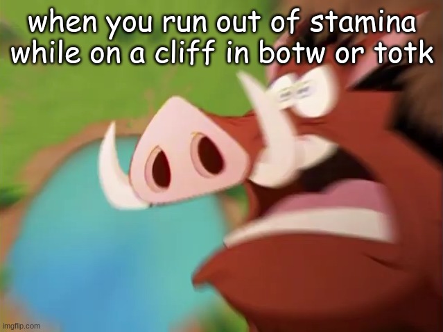Is it only me? | when you run out of stamina while on a cliff in botw or totk | image tagged in pumbaa screaming while falling into a pond | made w/ Imgflip meme maker