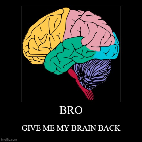 BRO | GIVE ME MY BRAIN BACK | image tagged in funny,demotivationals,brain | made w/ Imgflip demotivational maker