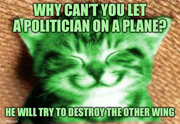 happy RayCat | WHY CAN’T YOU LET A POLITICIAN ON A PLANE? HE WILL TRY TO DESTROY THE OTHER WING | image tagged in happy raycat,memes,raycat | made w/ Imgflip meme maker