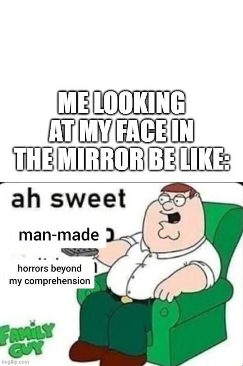 yes | ME LOOKING AT MY FACE IN THE MIRROR BE LIKE: | image tagged in blank white template,ah sweet man made horrors beyond my comprehension | made w/ Imgflip meme maker