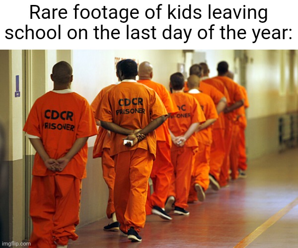 Meme #1,678 | Rare footage of kids leaving school on the last day of the year: | image tagged in memes,school,summer,prison,funny,true | made w/ Imgflip meme maker