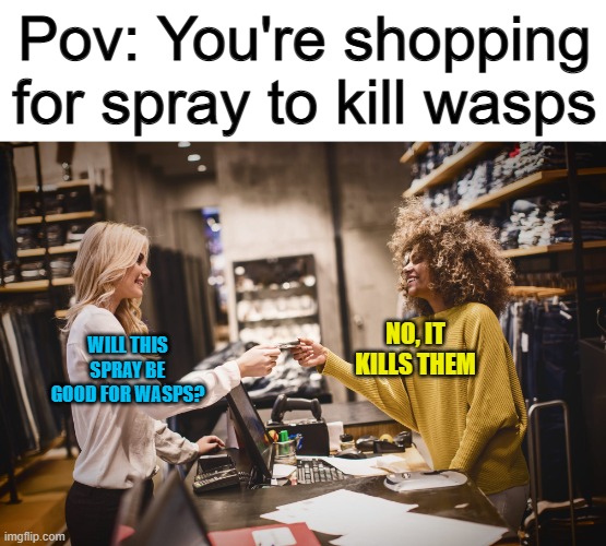 Lol XD | Pov: You're shopping for spray to kill wasps; NO, IT KILLS THEM; WILL THIS SPRAY BE GOOD FOR WASPS? | made w/ Imgflip meme maker