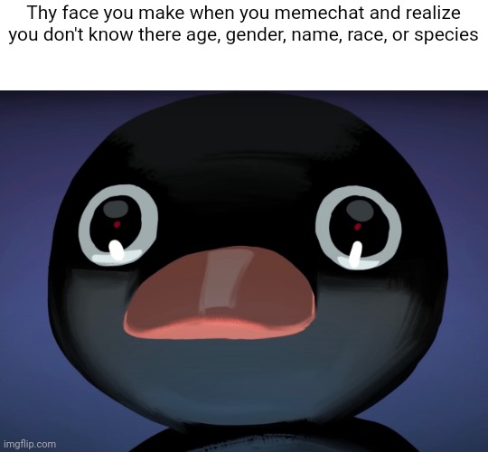 Pingu stare | Thy face you make when you memechat and realize you don't know there age, gender, name, race, or species | image tagged in pingu stare | made w/ Imgflip meme maker