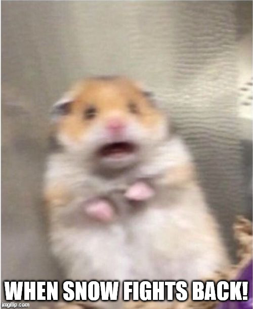 Scared Hamster | WHEN SNOW FIGHTS BACK! | image tagged in scared hamster | made w/ Imgflip meme maker