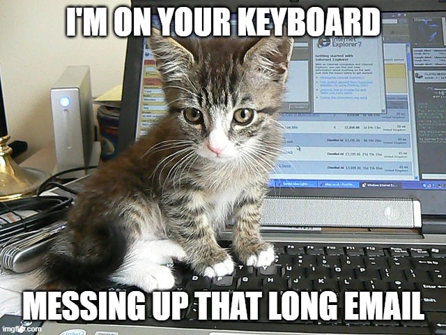 I'm on your keyboard | I'M ON YOUR KEYBOARD; MESSING UP THAT LONG EMAIL | image tagged in cat on keyboard,work,funny memes | made w/ Imgflip meme maker