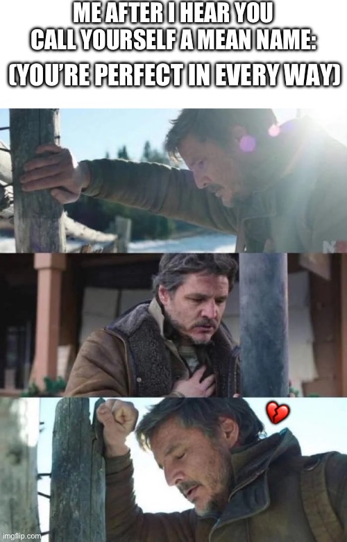 It pains my heart | ME AFTER I HEAR YOU CALL YOURSELF A MEAN NAME:; (YOU’RE PERFECT IN EVERY WAY); 💔 | image tagged in the last of us,wholesome | made w/ Imgflip meme maker