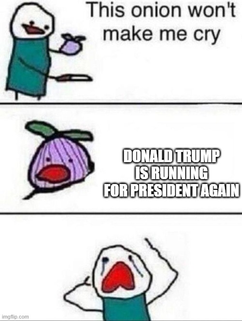 It made us cry | DONALD TRUMP IS RUNNING FOR PRESIDENT AGAIN | image tagged in this onion wont make me cry | made w/ Imgflip meme maker