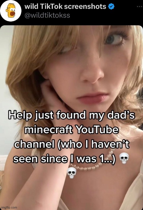 image tagged in minecraft | made w/ Imgflip meme maker