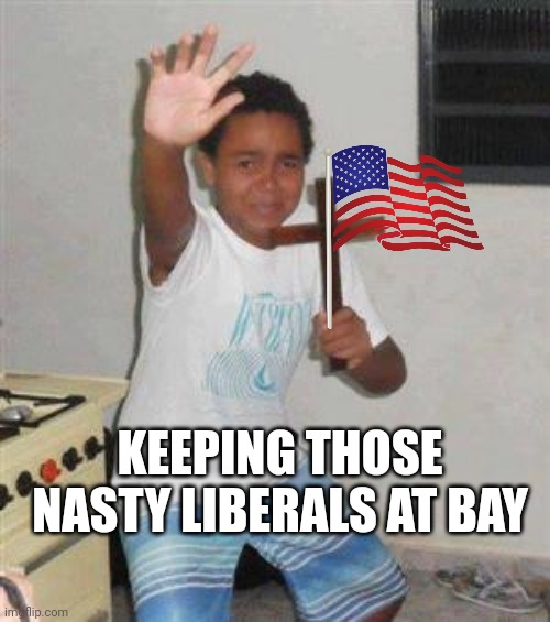 Scared Kid | KEEPING THOSE NASTY LIBERALS AT BAY | image tagged in scared kid | made w/ Imgflip meme maker