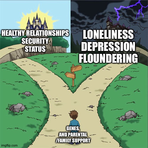 Two Paths | LONELINESS
DEPRESSION
FLOUNDERING; HEALTHY RELATIONSHIPS
SECURITY
STATUS; GENES, AND PARENTAL /FAMILY SUPPORT | image tagged in two paths | made w/ Imgflip meme maker