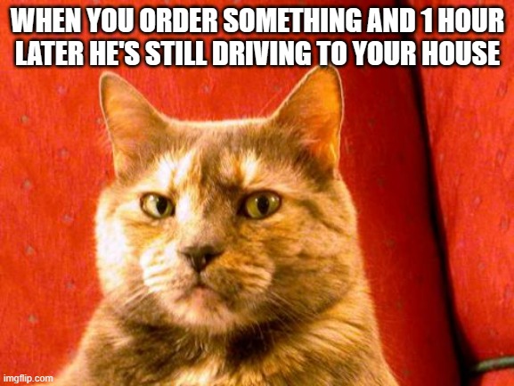 Cat meme | WHEN YOU ORDER SOMETHING AND 1 HOUR LATER HE'S STILL DRIVING TO YOUR HOUSE | image tagged in memes,suspicious cat | made w/ Imgflip meme maker