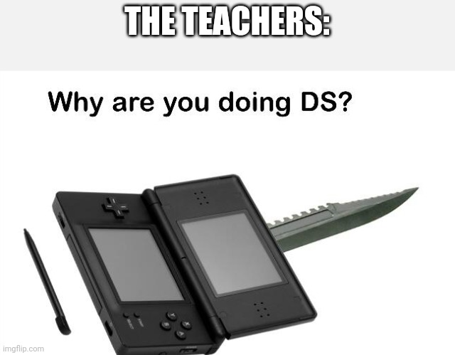 Why Are You Doing DS? | THE TEACHERS: | image tagged in why are you doing ds | made w/ Imgflip meme maker