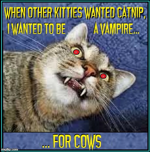 I Want to Suck Your Cream, Buttercup | image tagged in vince vance,cows,milk,vampire,cats,funny cat memes | made w/ Imgflip meme maker