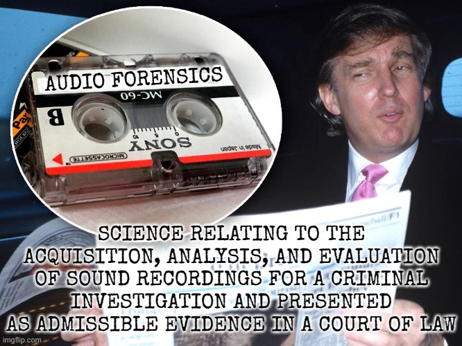 DID YOU HEAR THAT? | AUDIO FORENSICS; SCIENCE RELATING TO THE ACQUISITION, ANALYSIS, AND EVALUATION OF SOUND RECORDINGS FOR A CRIMINAL INVESTIGATION AND PRESENTED AS ADMISSIBLE EVIDENCE IN A COURT OF LAW | image tagged in audio forensics,court,criminal,investigation,evidence,treason | made w/ Imgflip meme maker