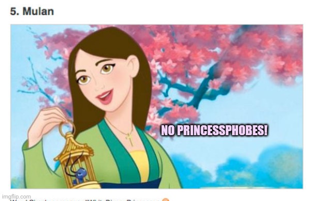 Disney Princessses | NO PRINCESSPHOBES! | image tagged in disney,princess,dont be a princessphobe | made w/ Imgflip meme maker
