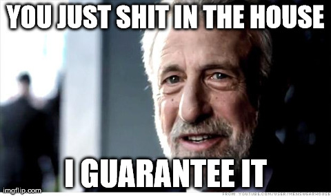 I Guarantee It | YOU JUST SHIT IN THE HOUSE I GUARANTEE IT | image tagged in memes,i guarantee it,AdviceAnimals | made w/ Imgflip meme maker