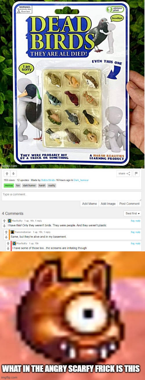 WHAT IN THE ANGRY SCARFY FRICK IS THIS | made w/ Imgflip meme maker