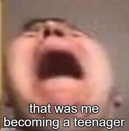 . | that was me becoming a teenager | made w/ Imgflip meme maker