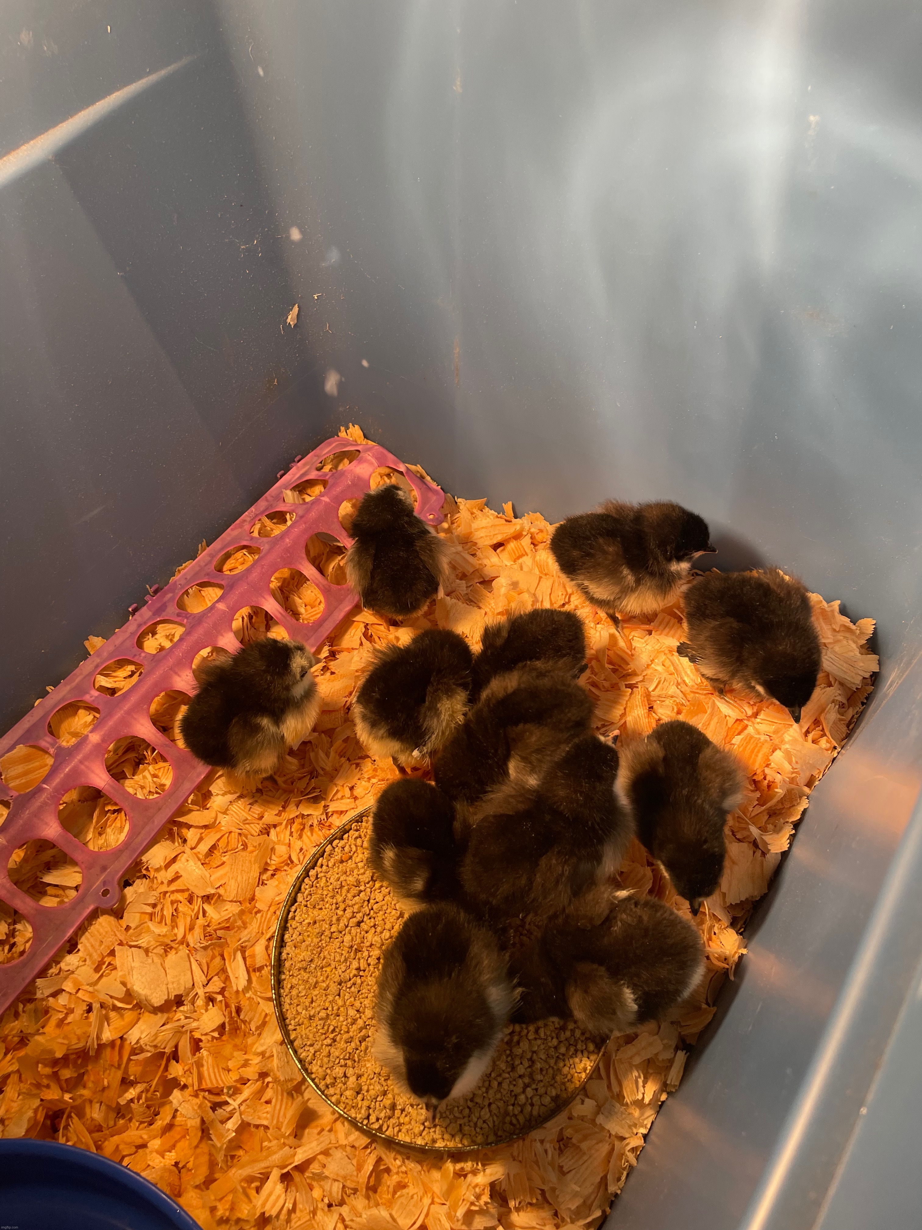 Unsubmitted image #7 | made w/ Imgflip meme maker