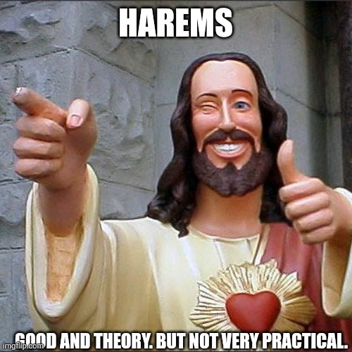 Your harem | HAREMS; GOOD AND THEORY. BUT NOT VERY PRACTICAL. | image tagged in memes,buddy christ,harem,theory | made w/ Imgflip meme maker