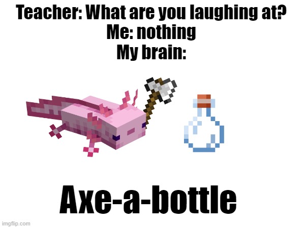 when i play too much minecraft | Teacher: What are you laughing at?
Me: nothing
My brain:; Axe-a-bottle | image tagged in axolotl,minecraft | made w/ Imgflip meme maker