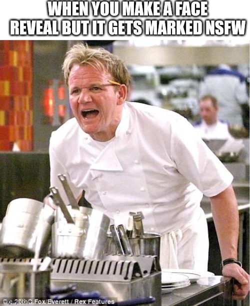 Dang u ugly | WHEN YOU MAKE A FACE REVEAL BUT IT GETS MARKED NSFW | image tagged in memes,chef gordon ramsay | made w/ Imgflip meme maker