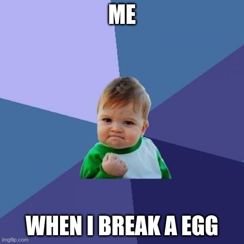 Success Kid | ME; WHEN I BREAK A EGG | image tagged in memes,success kid,jobs | made w/ Imgflip meme maker