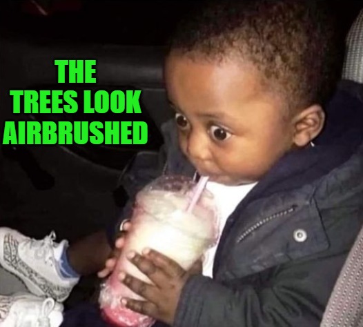 THE TREES LOOK AIRBRUSHED | image tagged in oh oh | made w/ Imgflip meme maker
