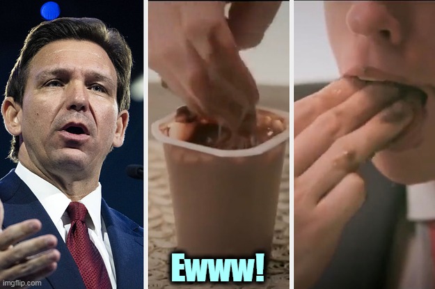 Chocolate pudding? Is that what they're calling it this year? | Ewww! | image tagged in ron desantis,chocolate,pudding,eww,ewww,ewwww | made w/ Imgflip meme maker