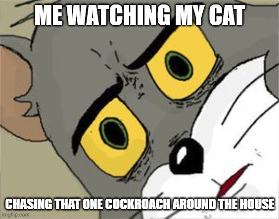 It's traumatizing, trust me. | ME WATCHING MY CAT; CHASING THAT ONE COCKROACH AROUND THE HOUSE | image tagged in unsettled tom | made w/ Imgflip meme maker