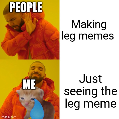 Why don't you make LEG memes (waaaaaaaaaaa) | PEOPLE; Making leg memes; Just seeing the leg meme; ME | image tagged in memes,drake hotline bling | made w/ Imgflip meme maker