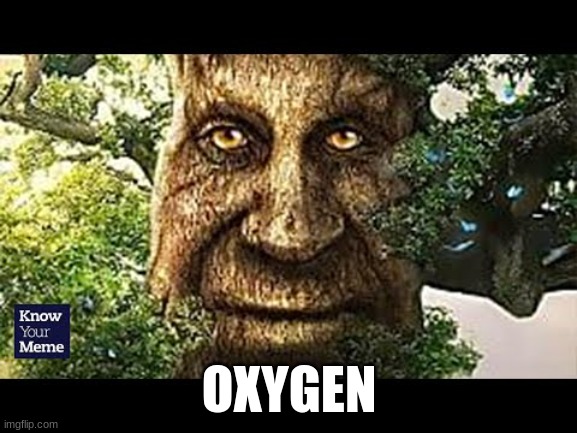 never looking at a tree again | OXYGEN | image tagged in funny | made w/ Imgflip meme maker