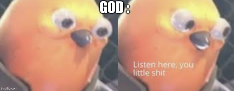 Listen here you little shit bird | GOD : | image tagged in listen here you little shit bird | made w/ Imgflip meme maker