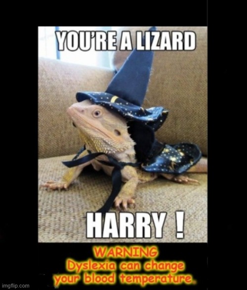 Spit it out Harry ! | image tagged in shapeshifting lizard | made w/ Imgflip meme maker