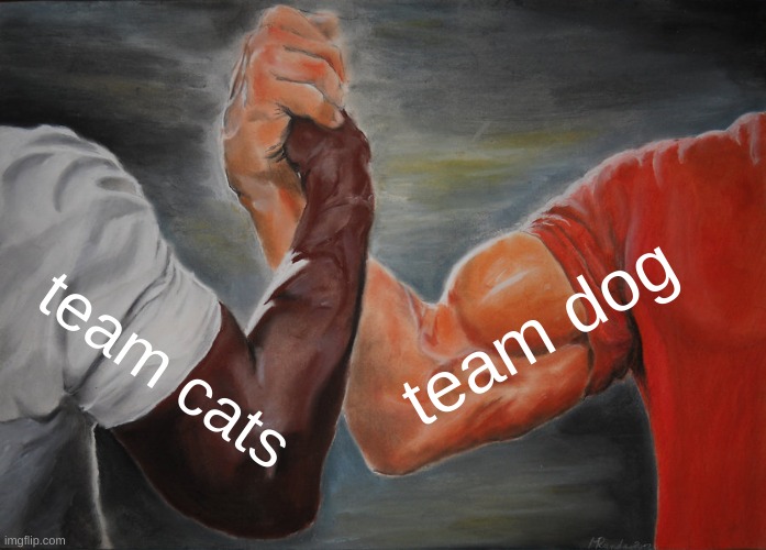 cats are better | team dog; team cats | image tagged in memes,epic handshake | made w/ Imgflip meme maker