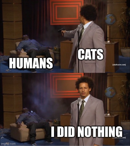 cats are deadly somtimes | CATS; HUMANS; I DID NOTHING | image tagged in memes,who killed hannibal | made w/ Imgflip meme maker