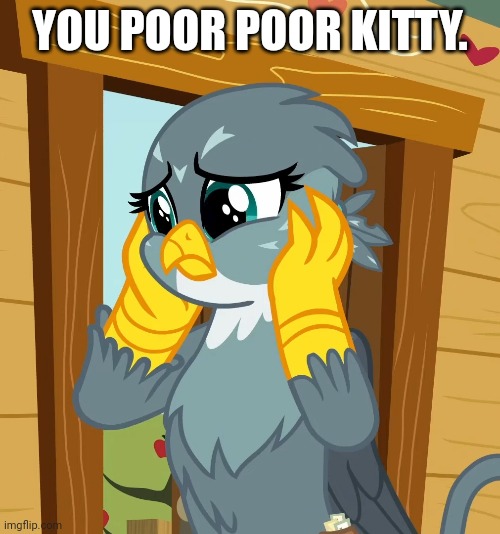YOU POOR POOR KITTY. | made w/ Imgflip meme maker