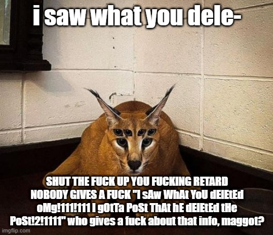 bibically accurate floppa | i saw what you dele-; SHUT THE FUCK UP YOU FUCKING RETARD NOBODY GIVES A FUCK "I sAw WhAt YoU dElEtEd oMg!111!111 I gOtTa PoSt ThAt hE dElEtEd tHe PoSt!2!1111" who gives a fuck about that info, maggot? | image tagged in bibically accurate floppa | made w/ Imgflip meme maker