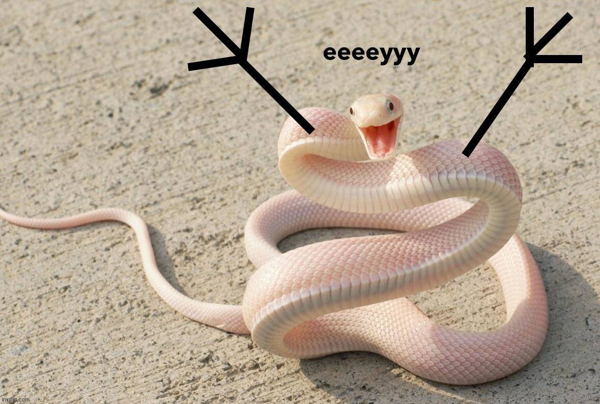 Snek | image tagged in snek | made w/ Imgflip meme maker