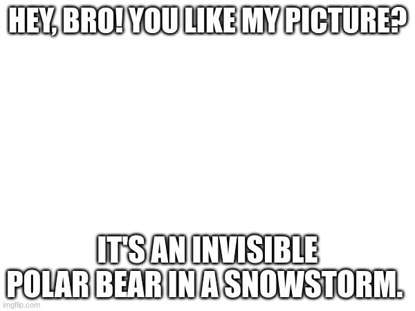 Polar Bears | HEY, BRO! YOU LIKE MY PICTURE? IT'S AN INVISIBLE POLAR BEAR IN A SNOWSTORM. | image tagged in funny,lol,crappy art | made w/ Imgflip meme maker