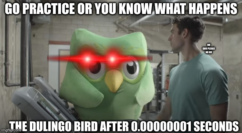 Dulingo Watching | GO PRACTICE OR YOU KNOW WHAT HAPPENS; OH GOD PLEASE NO NO; THE DULINGO BIRD AFTER 0.00000001 SECONDS | image tagged in dulingo watching | made w/ Imgflip meme maker