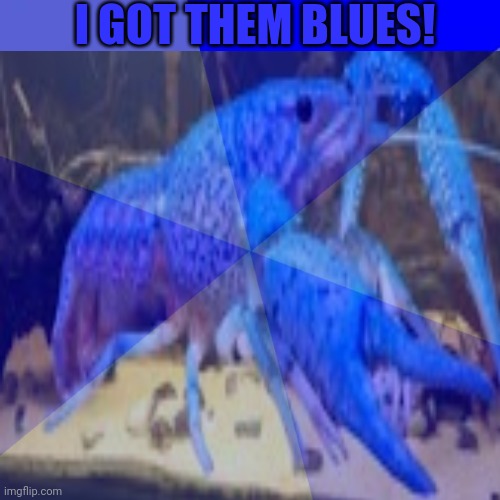 I GOT THEM BLUES! | made w/ Imgflip meme maker