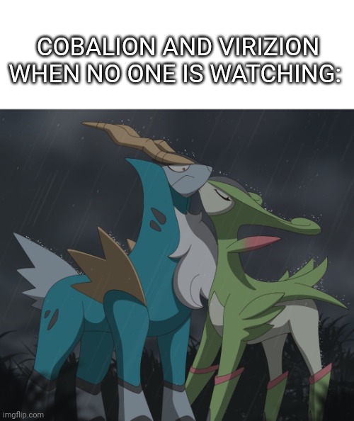 LOVE | COBALION AND VIRIZION WHEN NO ONE IS WATCHING: | image tagged in pokemon,love,pokemon memes | made w/ Imgflip meme maker